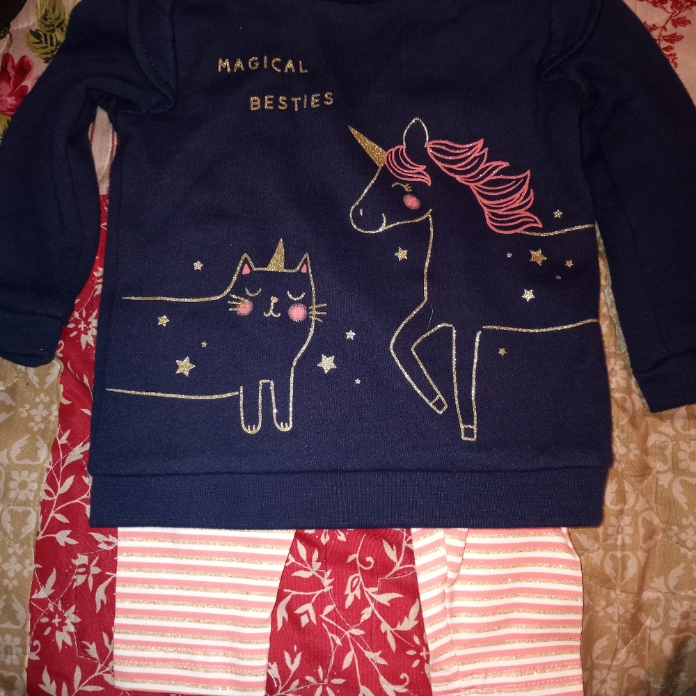 2 piece outfit 12 months Carters